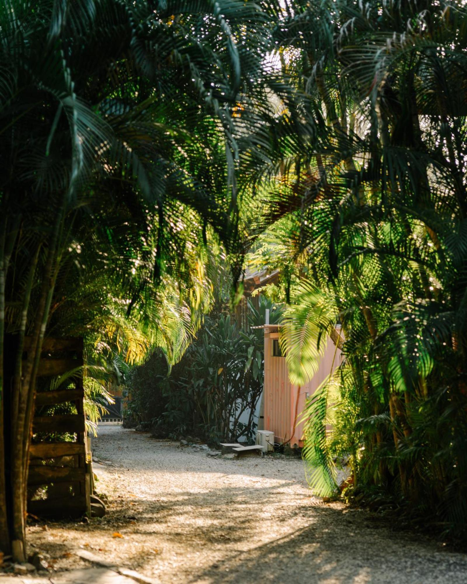 Salty Enthusiasts Share House & Villas Playa Santa Teresa  Exterior photo